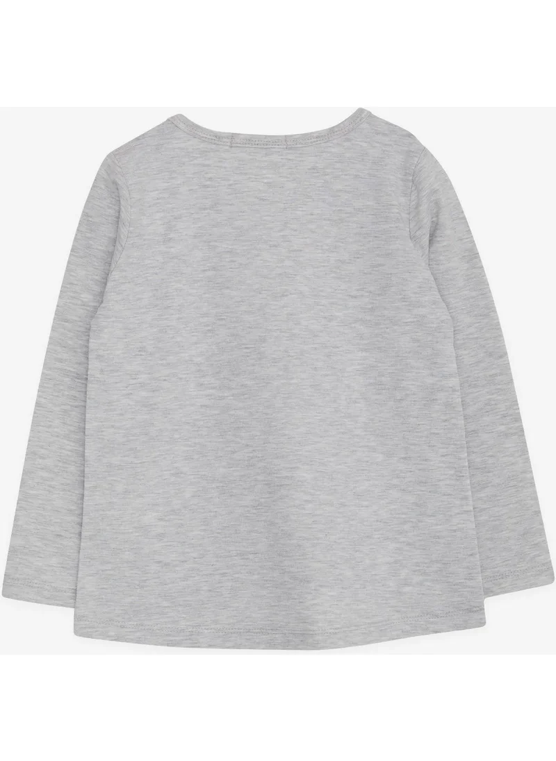 بريز Girl's Long Sleeve T-Shirt Sequin Girl Printed 2-6 Years, Light Gray Melange