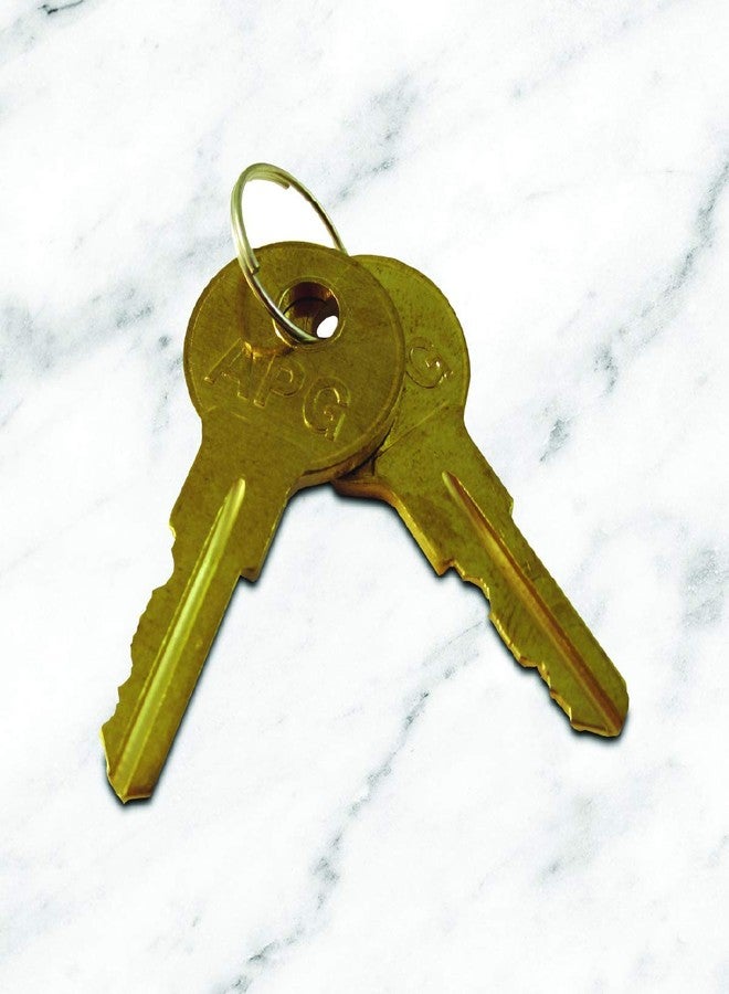 ابج مجموعة مفاتيح بديلة لأدراج النقود من APG | متوافقة مع أقفال APG A2 المشفرة | مجموعة من مفتاحين | لأدراج النقود من سلسلة 100 وسلسلة 4000 من APG | PK-8K-A2 - Image 3