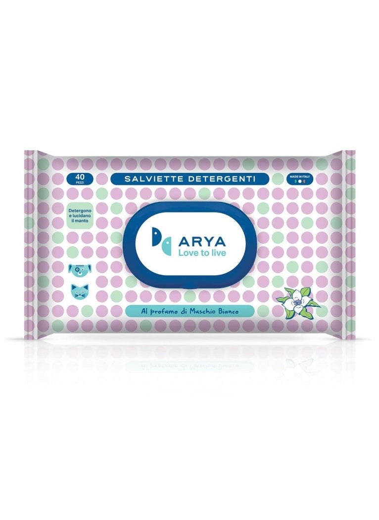 40-Arya Wet Wipes Musk White - pzsku/ZC994D02DFA77E951CD56Z/45/_/1736586603/2dbfd7d3-6cbc-4329-bc32-7117f248fd11