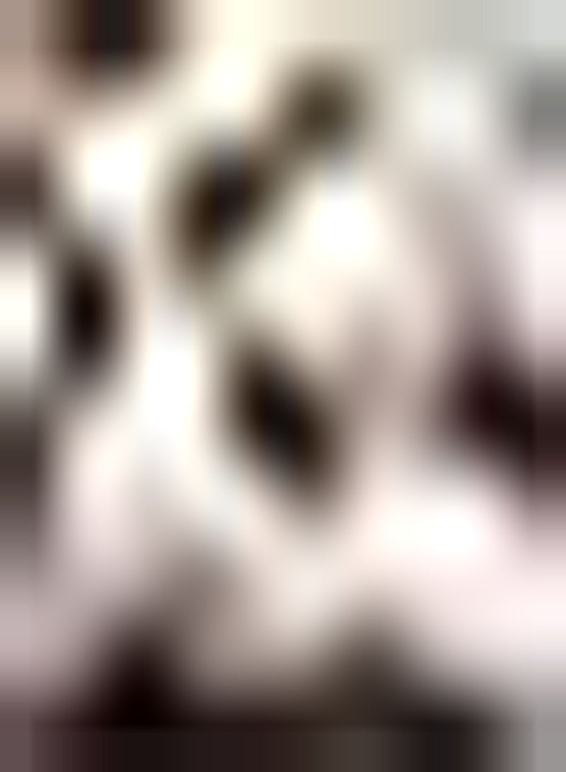 GGOOT 100pcs Witte Aardbei Zaden Meerjarige Heirloom Zoete Aromatische Fruit Geplant op De Tuin Balkon Instap Verscheidenheid Geschikte Beginners - Image 2