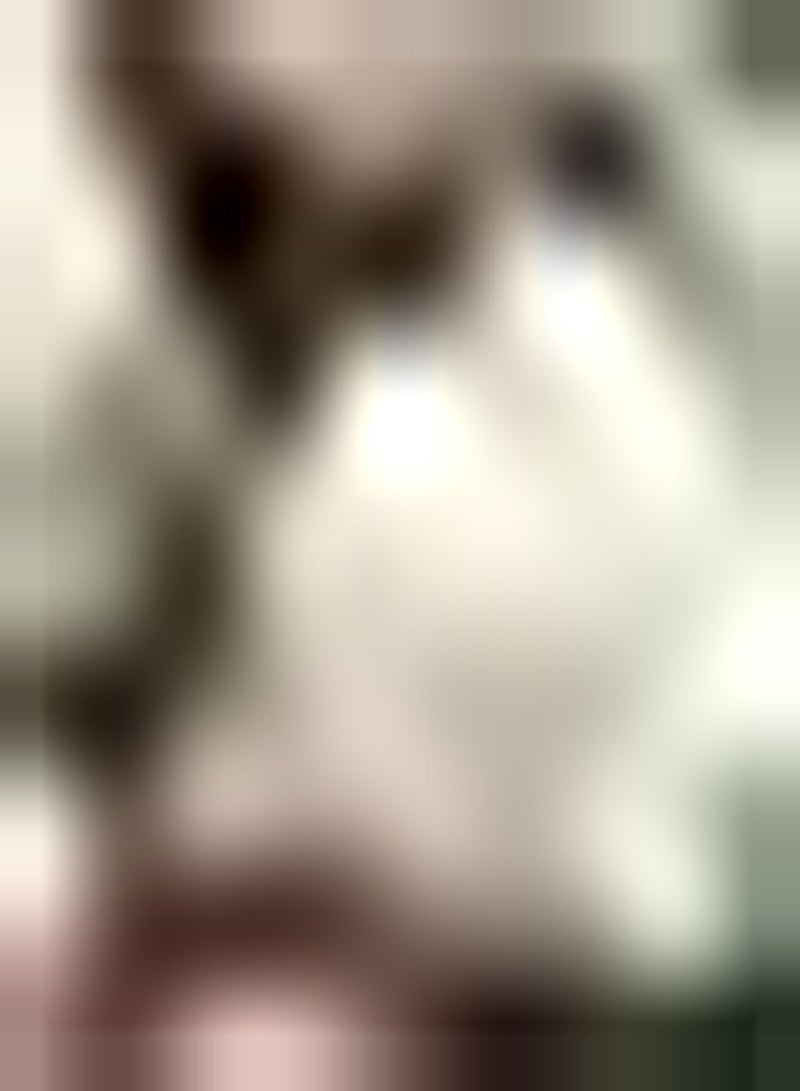 GGOOT 100pcs Witte Aardbei Zaden Meerjarige Heirloom Zoete Aromatische Fruit Geplant op De Tuin Balkon Instap Verscheidenheid Geschikte Beginners - Image 1