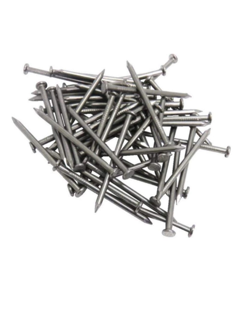 High Strength Round Head Nails For Carpentry Hardware Electrical Etc (50, 5 inch) - Image 2