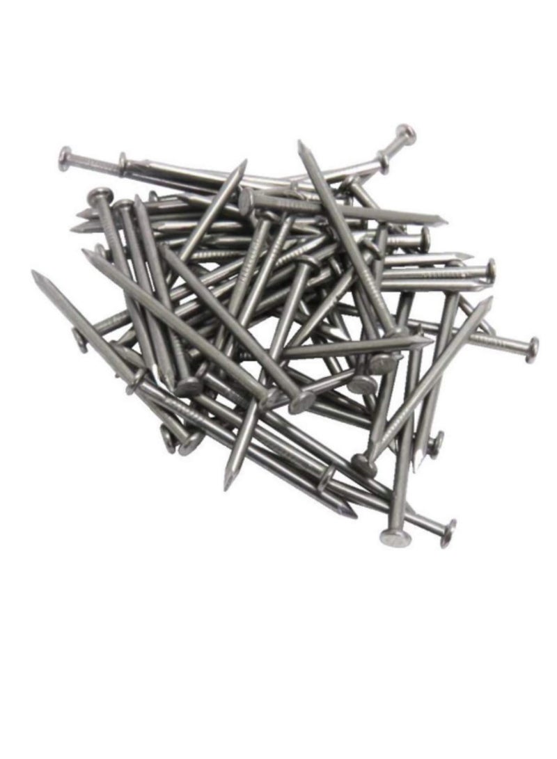 High Strength Round Head Nails For Carpentry Hardware Electrical Etc (50, 5 inch) - Image 1