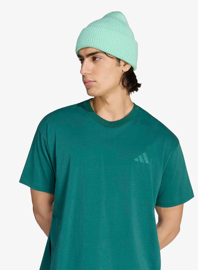 Adidas CGREEN Terrex Wanderer Graphic T-Shirt for Men | Best Price UAE