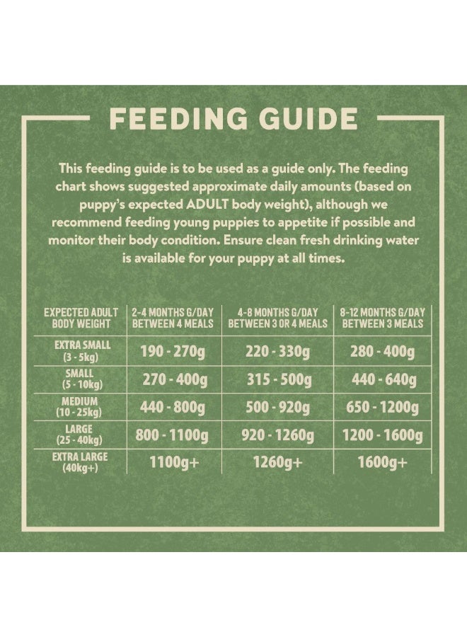 Harringtons Chicken & Potato Grain Free Wet Puppy Food 380g - Image 3