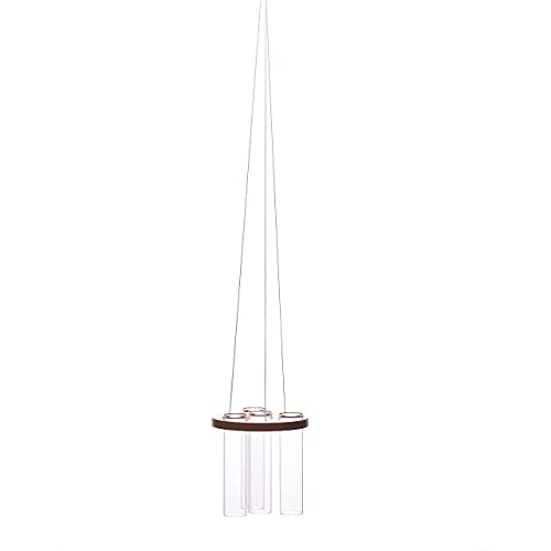 LABZIO Hanging Round Wooden & Glass Flower Vase (X-Small) – Unique Diwali Wall Decor for Home, Festive Floral Display, Pooja Room Accent, Balcony & Living Room Decoration Piece - Image 5
