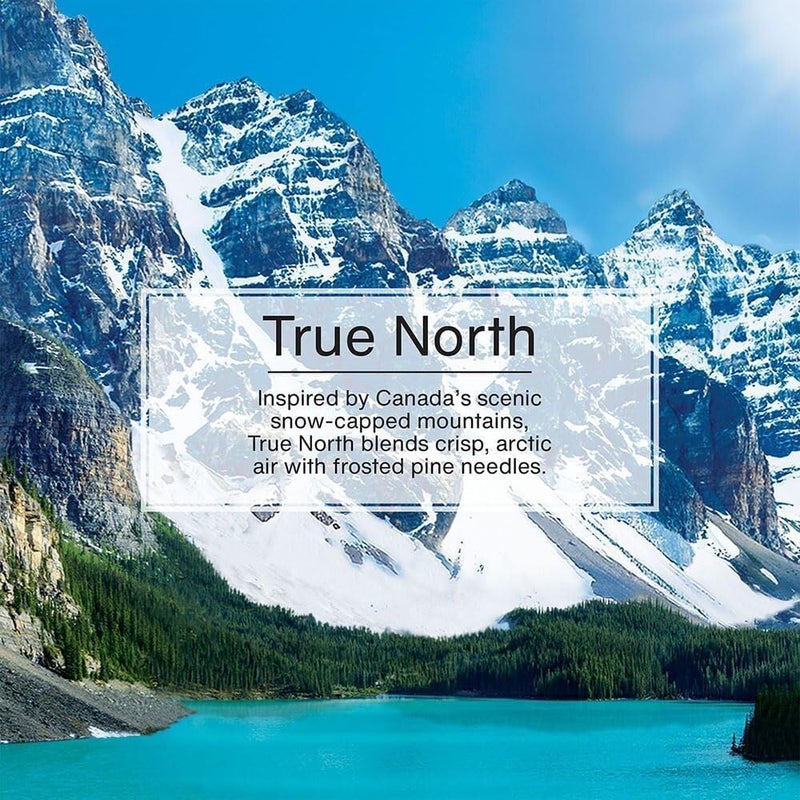 Little Trees True North Scent Air Freshener - Hanging Paper - Image 5