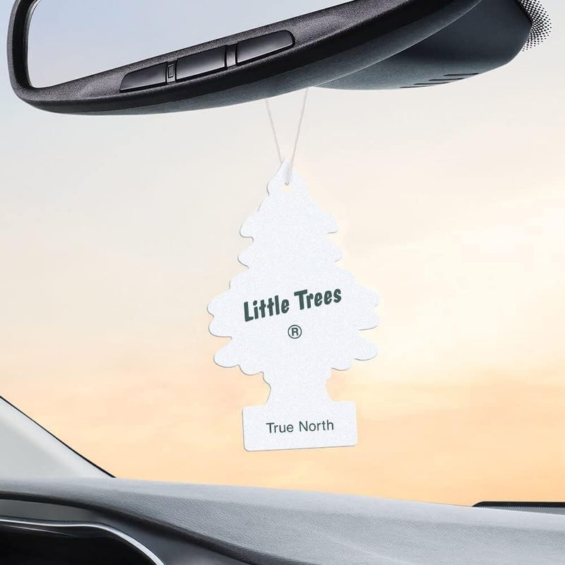 Little Trees True North Scent Air Freshener - Hanging Paper - Image 4