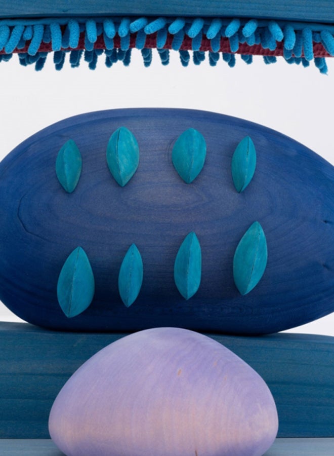 Matthew Ronay: The Crack, the Swell, an Earth, an Ode 