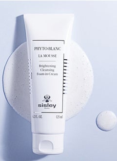 sisley PARIS Phyto-Blanc La Mousse Brightening Cleansing Foam-in-Cream 125 ML  - Image 3