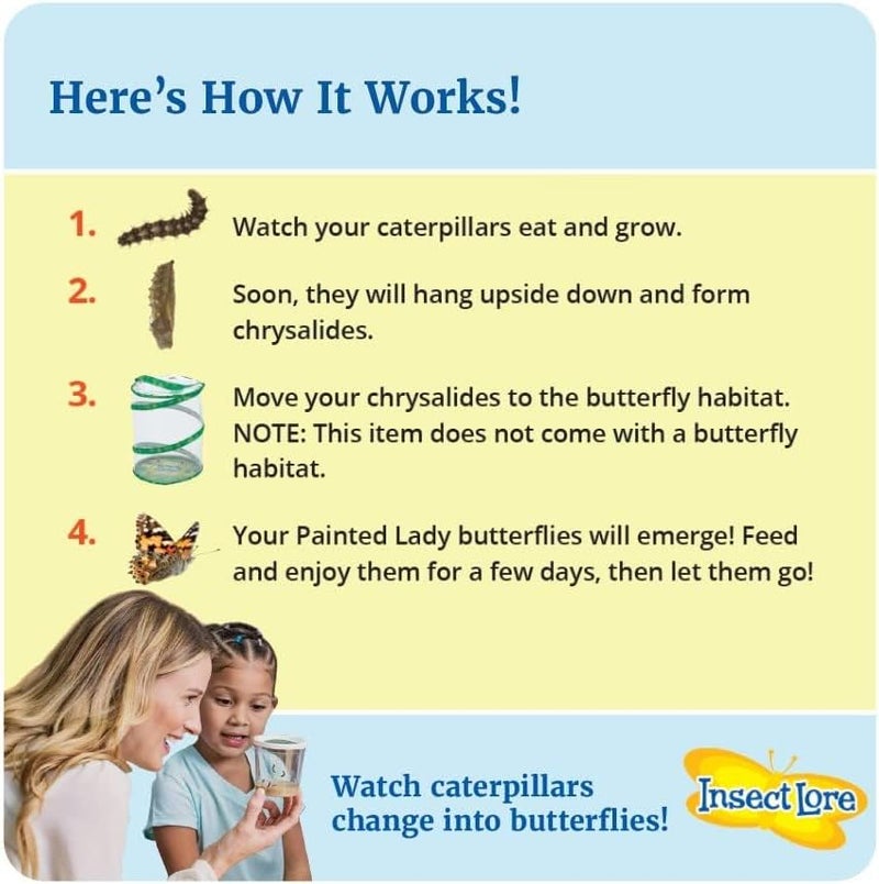 Insect Lore Two Cups of Live Caterpillars - 10 Live Painted Lady Caterpillars with Food - Includes Bonus Butterfly Life Cycle Figurines - Refill for Butterfly Garden Habitat - Image 2