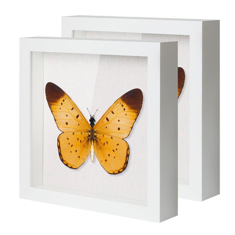 QDSSDECO 10""x10"" Shadow Boxes Display Cases with Soft Linen Back Deep Wood Glass 3D Shadow Box Set for Wall and Tabletop Baby Sports  2 Pack White - Image 1