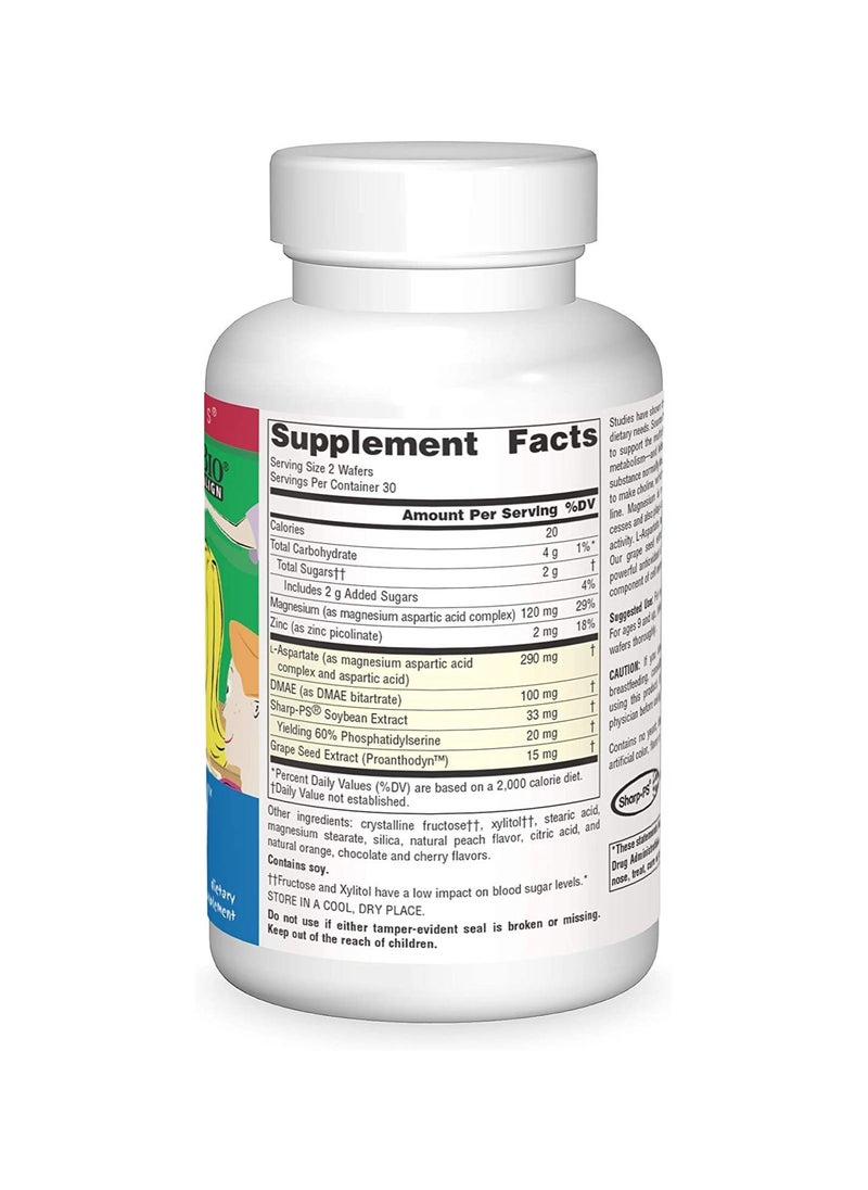 Source Naturals - Source Naturals Attentive Child - Healthy Cognitive Nutrients For Active Children - Improved Focus & Attention with DMAE, Magnesium, Zinc & Grape Seed Extract - 60 Chewable Wafers. - Image 1