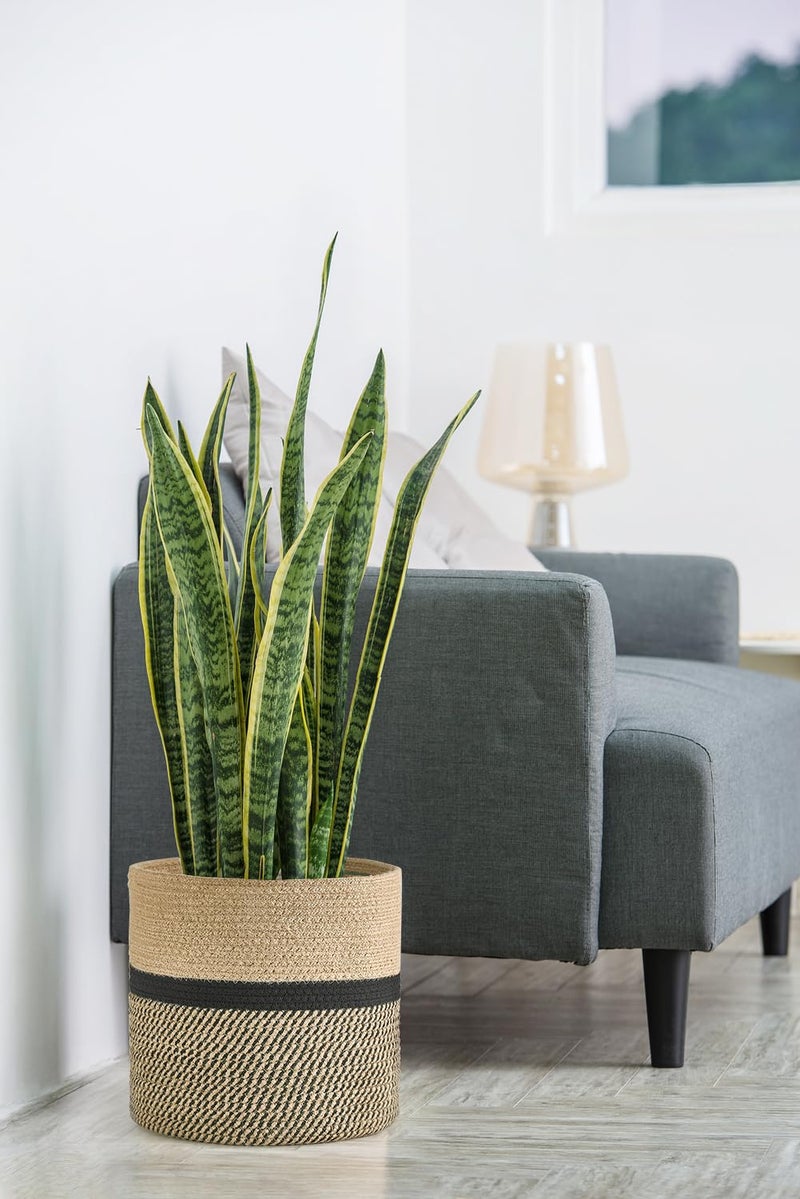 Dahey Jute Rope Plant Basket Modern Woven Storage Basket for 12" Indoor Planter, Decorative Flower Pots Cover Laundry Bin with Handle Rustic Home Decor, Black - Image 1