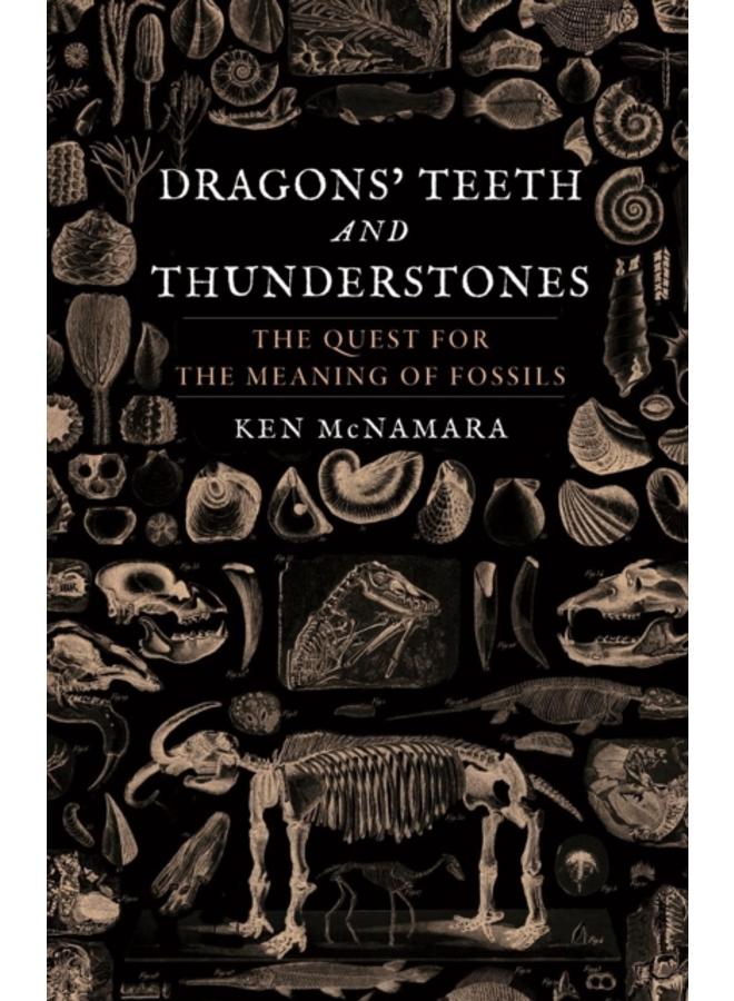Dragons' Teeth and Thunderstones : The Quest for the Meaning of Fossils 