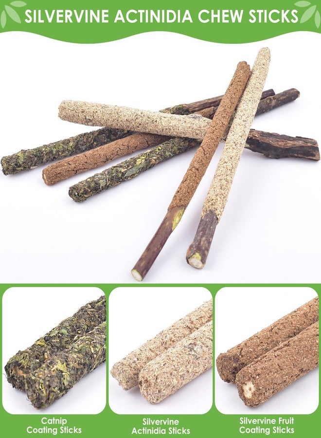 TINDTOP 12 Pack Chew Sticks for Cats, Natural Silvervine Catnip Toys for Kittens Teeth Cleaning, Matatabi Dental Care, Increase Appetite, Calm Cat Anxiety and Stress, Cat Dental Toy - Image 4