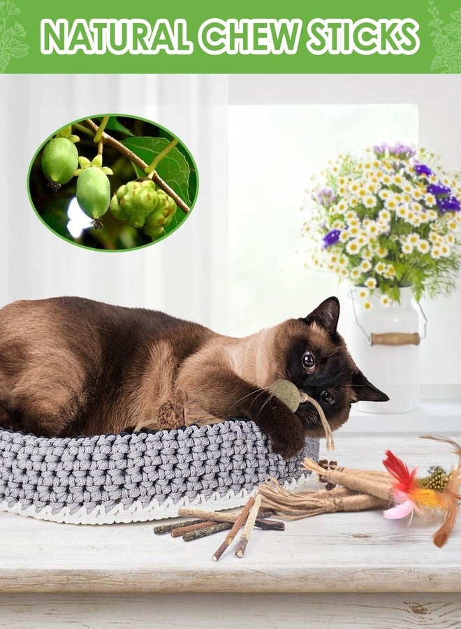 TINDTOP 12 Pack Chew Sticks for Cats, Natural Silvervine Catnip Toys for Kittens Teeth Cleaning, Matatabi Dental Care, Increase Appetite, Calm Cat Anxiety and Stress, Cat Dental Toy - Image 5