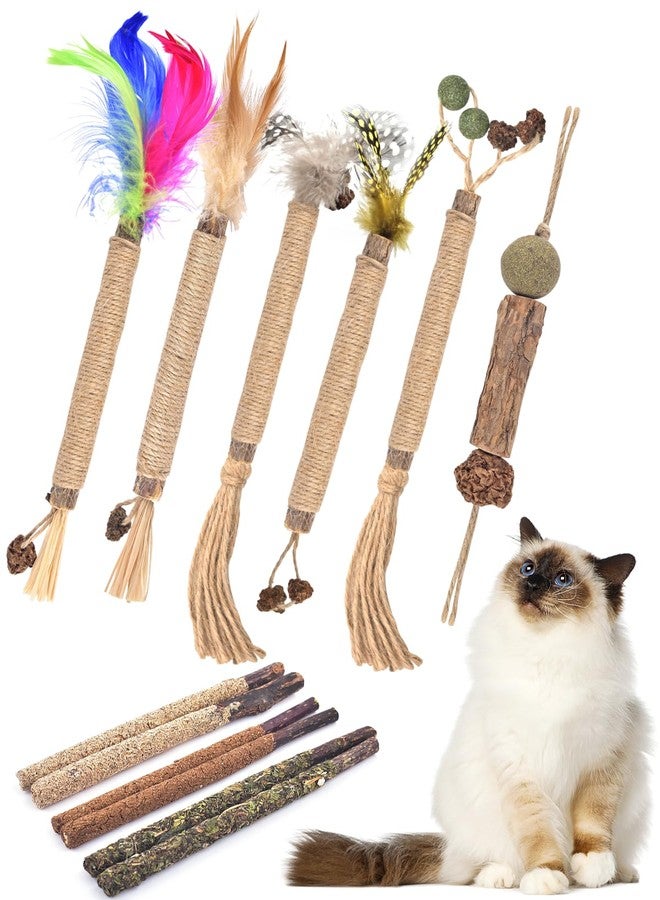 TINDTOP 12 Pack Chew Sticks for Cats, Natural Silvervine Catnip Toys for Kittens Teeth Cleaning, Matatabi Dental Care, Increase Appetite, Calm Cat Anxiety and Stress, Cat Dental Toy - Image 1