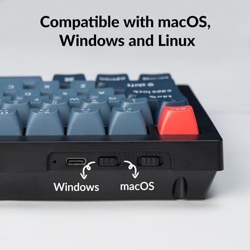 Keychron V1 Max 75% RGB Custom Mechanical Keyboard, 2.4Ghz/Bluetooth 5.1/Wired QMK/VIA Programmable Macro, Hot-Swappable Gateron Jupiter Red Switch Gasket Mount for Mac Windows Linux - Image 5