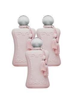 3 Pieces Rose Rosh Delina Perfume 100ml EDT - pzsku/ZC9A214E5592C1497BA9FZ/45/_/1736357701/93adbd3c-155f-46db-9522-4c73deee8bc5