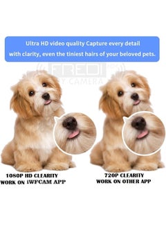 FREDI HD PLUS FREDI HD PLUS WiFi Mouse Camera HD Audio Video Recording Small Surveillance Indoor Security Camera for Home Office Hidden with Inbuilt 32GB SD Card iWFCam APP  - Image 5