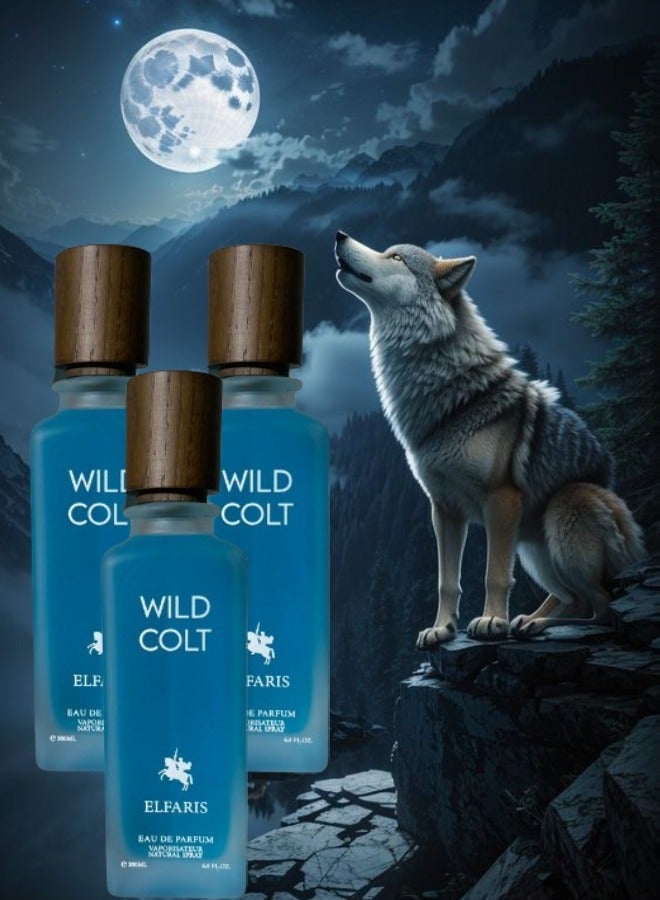FARIS 3 Pieces Wild Colt Perfume 200ml EDP - Image 1