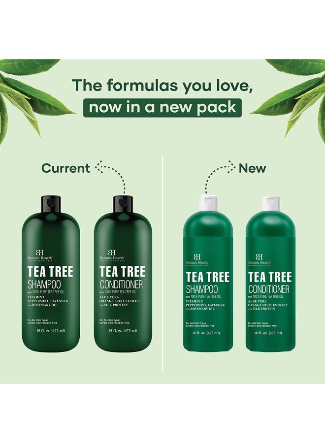 Botanic Hearth Shampoo and Conditioner Set - with 100% Pure Tea Tree Oil, for Itchy and Dry Scalp, Sulfate/ Paraben Free - for Men and Women - 16 fl oz each - Image 4