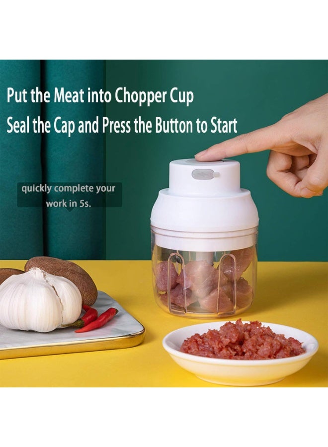 Kingbird Electric Mini Food Chopper 250ML Portable Garlic Chopper with USB Charging Function, Mini Food Slicer for Onion Vegetables Chili Ginger Meat Nuts Fruits Salad - Image 3