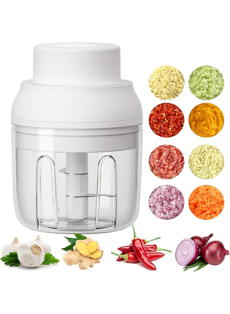 Kingbird Electric Mini Food Chopper 250ML Portable Garlic Chopper with USB Charging Function, Mini Food Slicer for Onion Vegetables Chili Ginger Meat Nuts Fruits Salad - Image 1