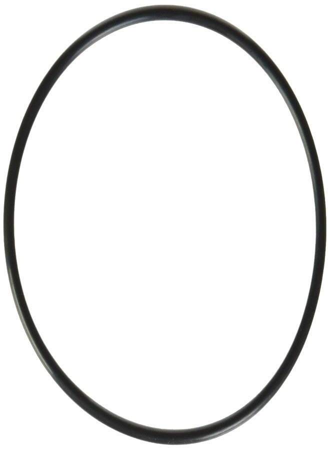 إيفر بيور فلتر مياه Everpure EVERPURE-EV3071-19 بحلقة O مقاس 4 بوصات