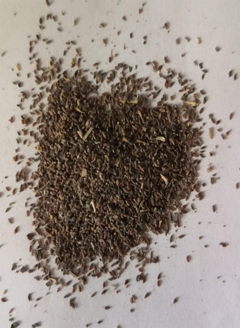 جي جوت 200 قطعة من بذور البابونج العطرية، نباتات بونساي نادرة لتزيين حديقة الزهور في الهواء الطلق، 1 بذور بابونج - Image 2