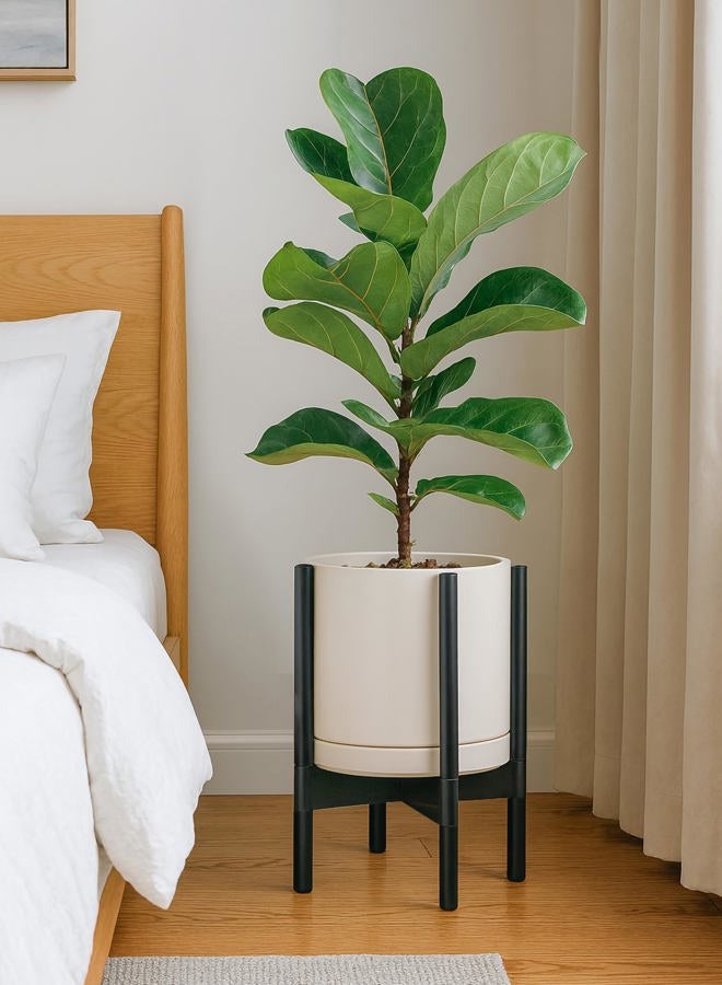 D'vine Dev Ceramic Planter with Ebony Stand - 10 Inch Modern Round Flower Pot with Wood Planter Holder, Oatmeal, 55-B-L-8 - Image 2