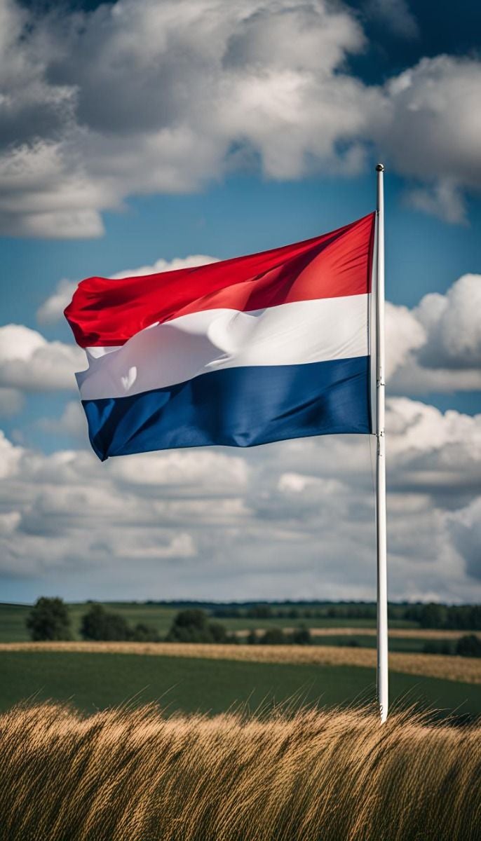 ARS Netherlands Flag - Heavy-Duty 210D Satin, Netherlands Flag for Outdoor/Indoor, Fade Resistant, Flag Day, And Home-Polyester, National Day Sport Day, FIFA World Cup, Indoor & Outdoor Use-Size Available - Image 4