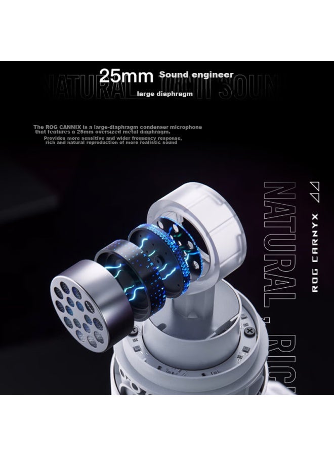Rog Kaniexi Professional Microphone, Desktop Microphone For Singing-specific Microphone, Karaoke Essential, Professional Host High-q Filter Noise Reduction, Rgb White - Image 3