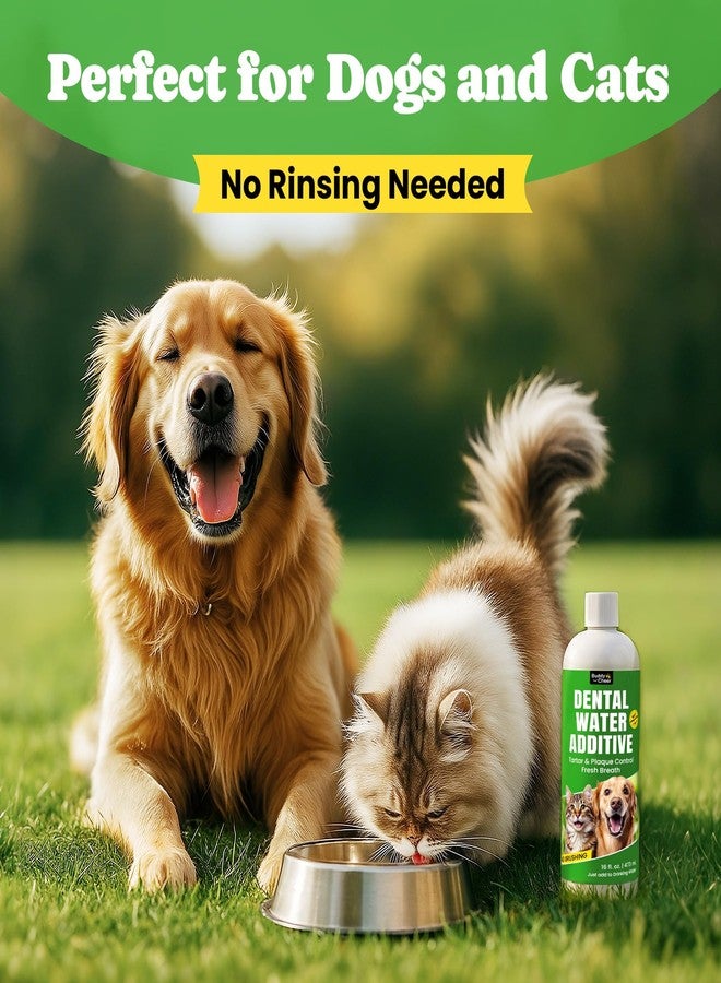 BuddyCheer Dog Breath Freshener - Enzymatic Dog Dental Water Additive for Teeth Claning - Freshens Breath & Reduces Tartar - Easy Mouthwash Cleaner for Teeth & Gums - No Brushing Needed, Uncented, 16oz - Image 5