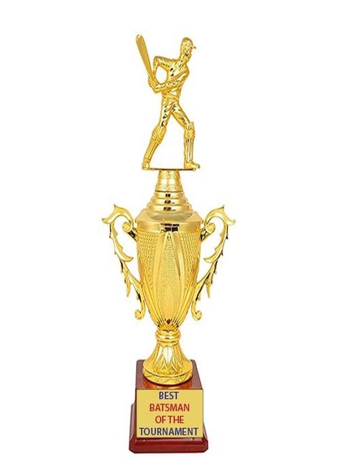 Bareeze Pure Best Batsman of The Tournament Trophy Batsman Trophy,Trophy for Best Batsman, Cricket Events 11.5 Inch - Image 1
