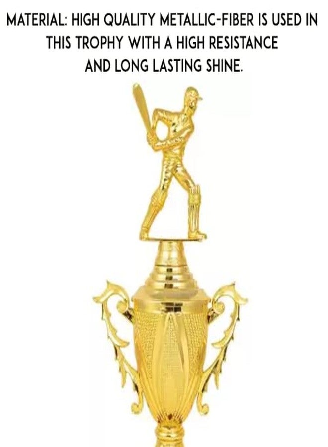 Bareeze Pure Best Batsman of The Tournament Trophy Batsman Trophy,Trophy for Best Batsman, Cricket Events 11.5 Inch - Image 5