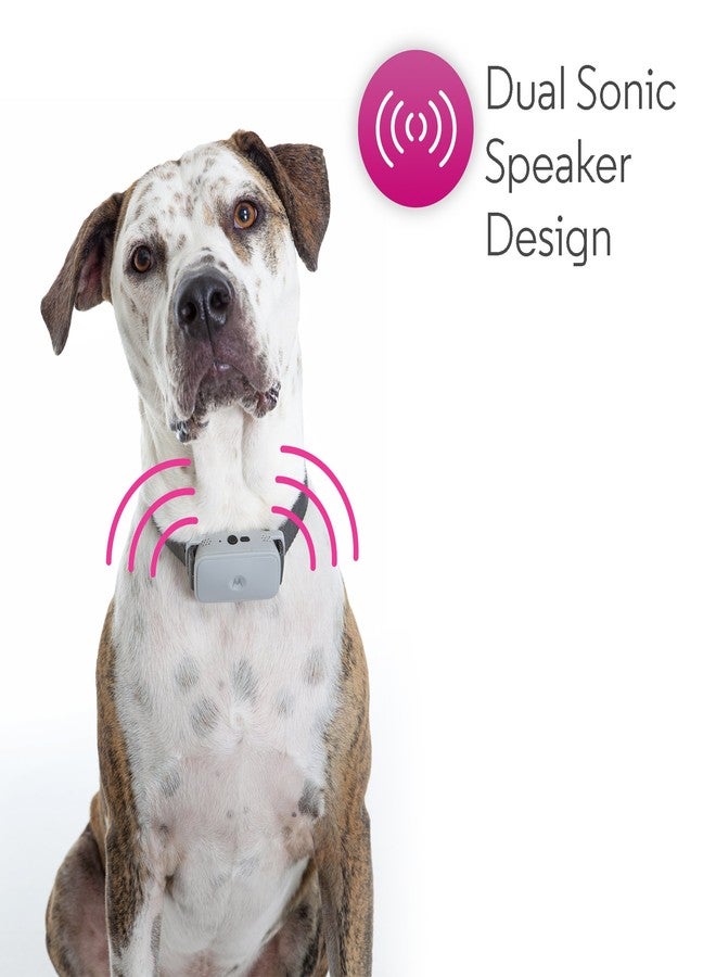 Motorola BARK200U Ultrasonic Dog Collar with 3 Levels and Vibration - Image 2