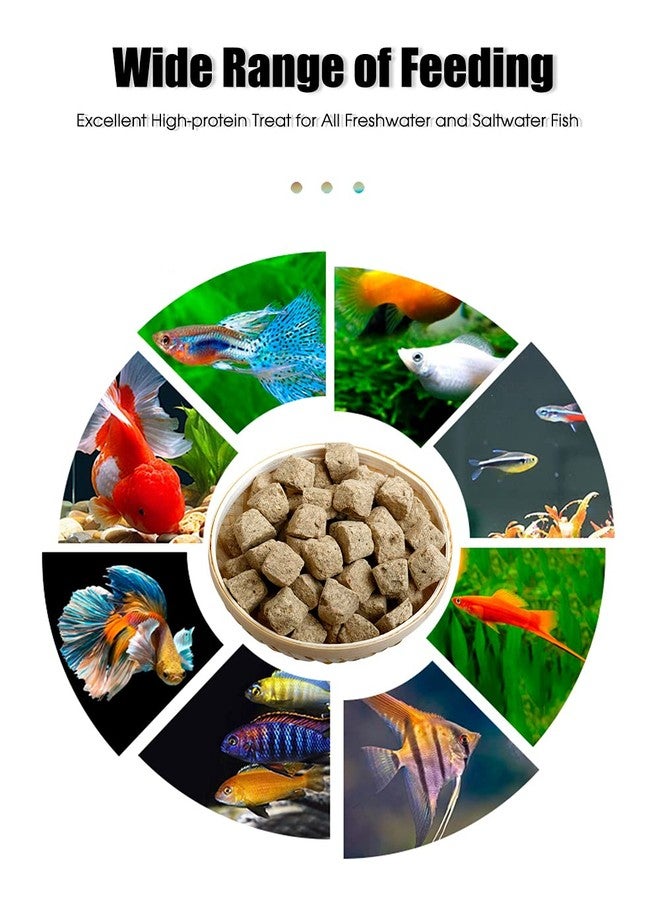 BNYEE Brine Shrimp Cubes All Natural Tropical Fish Food for Small to Medium Sized Saltwater & Freshwater Fish - Betta Guppy Discus Cichlids Discus Goldfish Angel Fish - Image 5