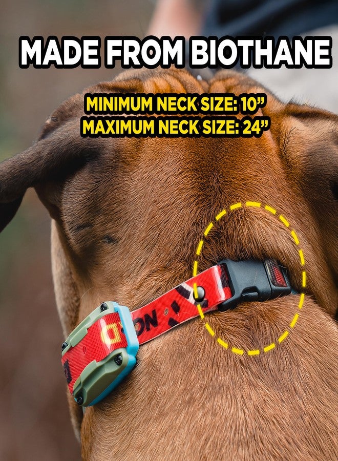 Dogtra Tom Davis Quick Release 3/4" Inch Strap with Buckle Waterproof Biothane for Remote Training E-Collar Easy Adjustable Comfortable for 280C 2.0 Receiver 28" - Red - Image 3