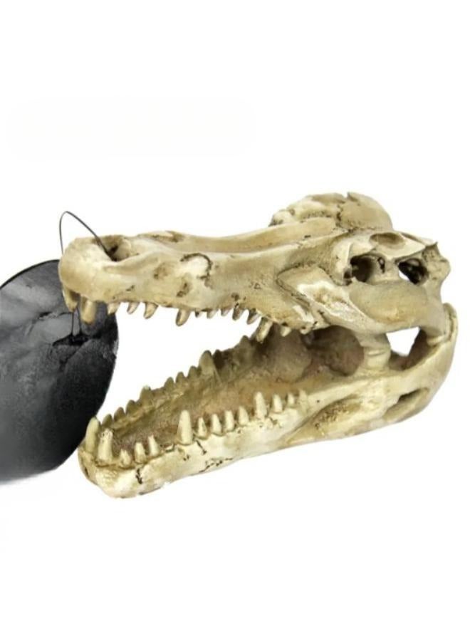 Crocodile Head Decoration Firm and Stable - Image 1