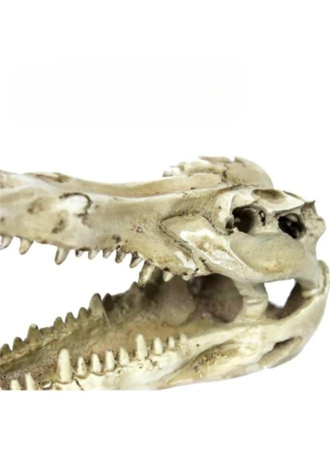 Crocodile Head Decoration Firm and Stable - Image 2