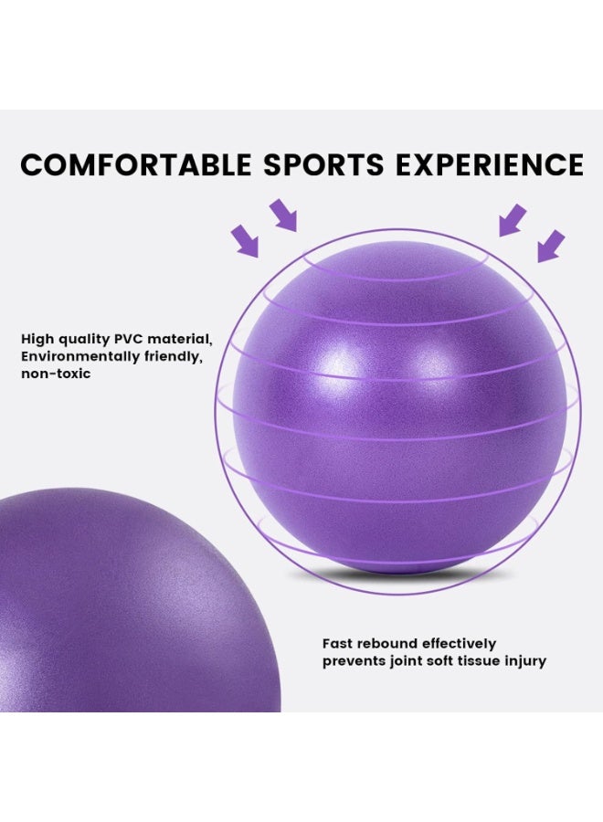 هومستر كرة بيلاتس, كرة صغيرة, كرة ممارسة صغيرة للبيلاتيس, اليوغا, التدريب الأساسي, العلاج البدني, التوازن, الاستقرار, التمدد, الأرجواني - Image 3