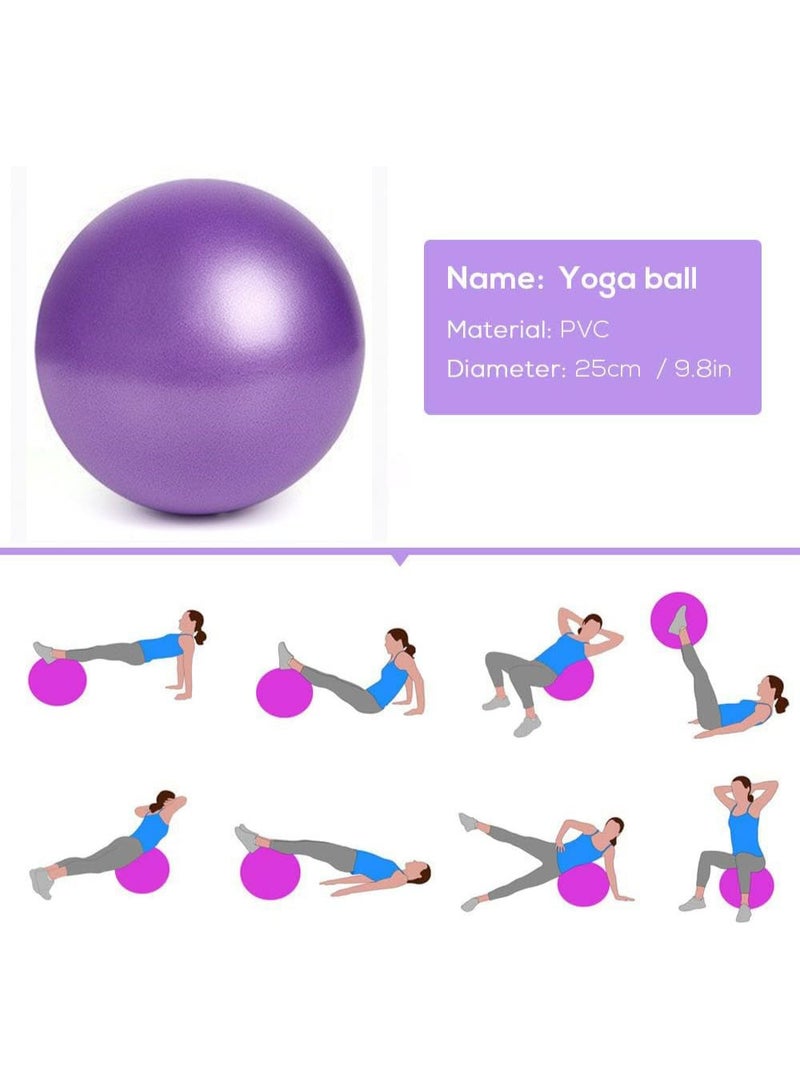 هومستر كرة بيلاتس, كرة صغيرة, كرة ممارسة صغيرة للبيلاتيس, اليوغا, التدريب الأساسي, العلاج البدني, التوازن, الاستقرار, التمدد, الأرجواني - Image 5