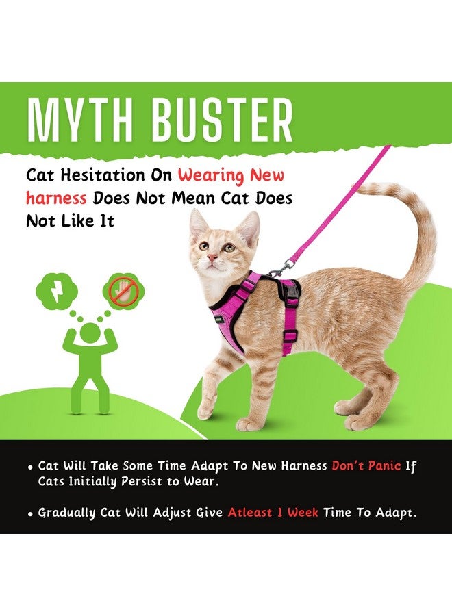 Buraq Pets Escape Proof No Pull Cat Harness with Leash for Outdoor, Walking, Air Mesh Fabric, Easy Control, Adjustable & Durable Cat Leash (XS, Grey) - Image 5