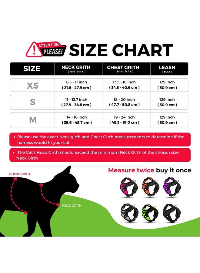 Buraq Pets Escape Proof No Pull Cat Harness with Leash for Outdoor, Walking, Air Mesh Fabric, Easy Control, Adjustable & Durable Cat Leash (XS, Grey) - Image 3