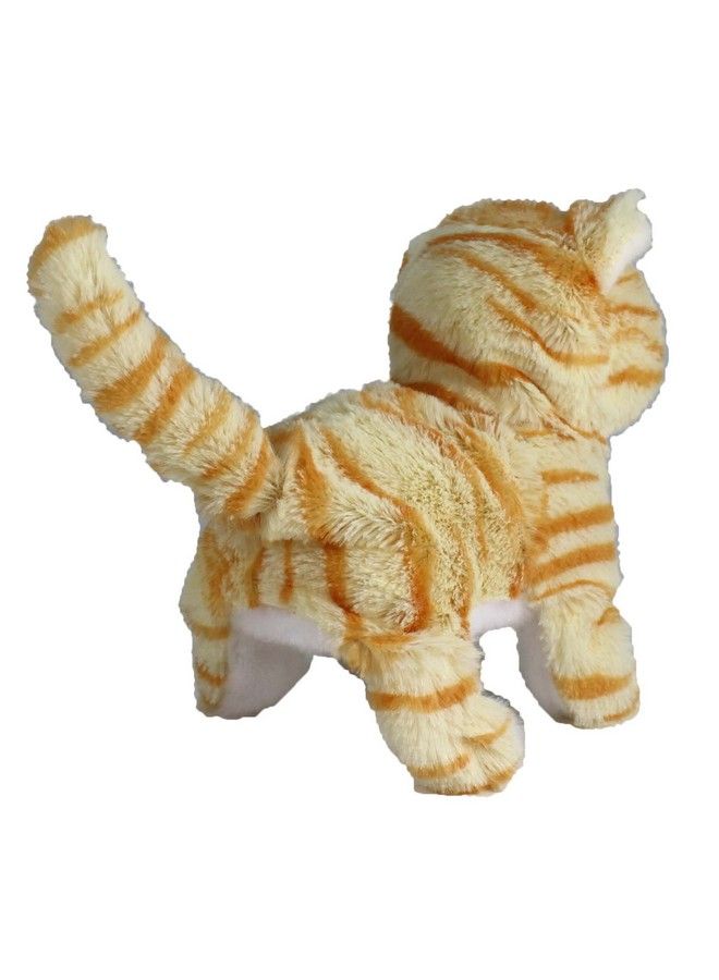 Westminster Casanova The Mechanical Kitten Orange Striped - Image 4