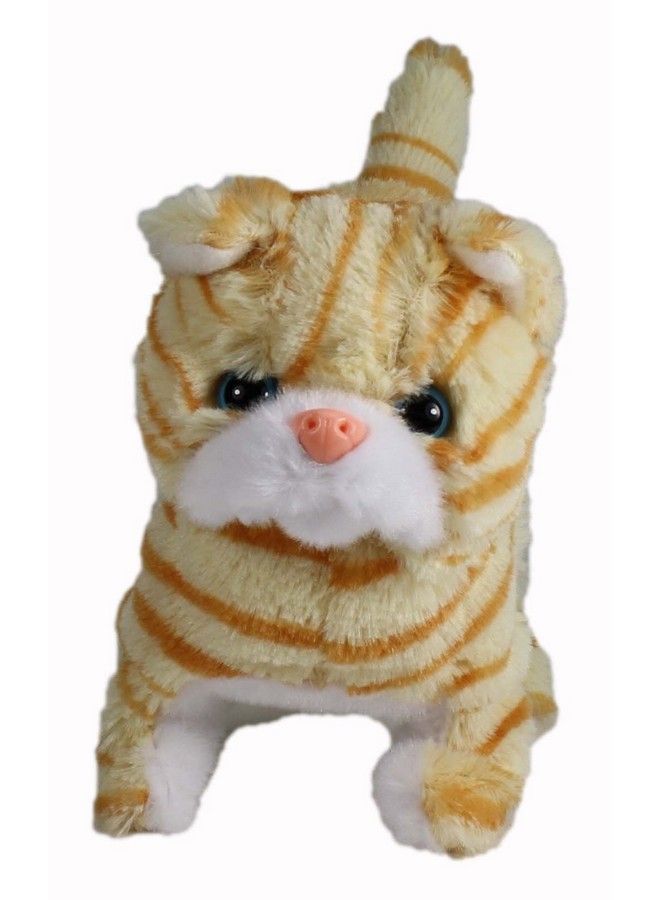 Westminster Casanova The Mechanical Kitten Orange Striped - Image 5