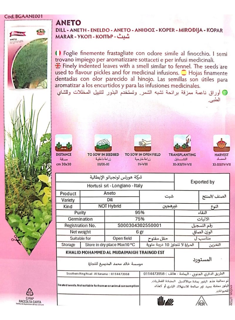 ZORZI Aneto Dill Seeds - Image 2