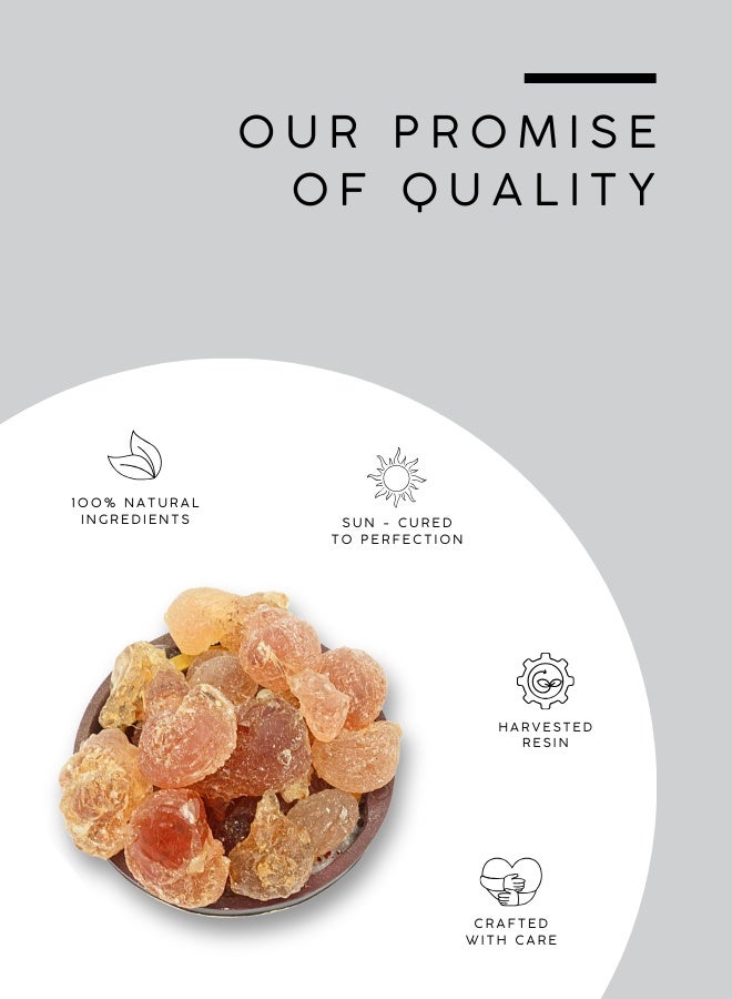 أباميك مُكثِّف عربي من عوافي ميل - راتنج جميل وكبير | عطري نقي - راتنج طبيعي نقي - ١٠٠ غرام | ٣.٥ أونصة - Image 4